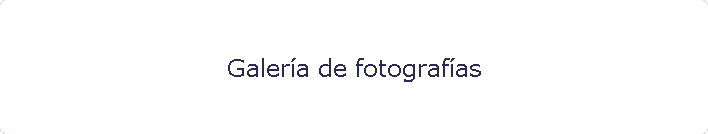 Galera de fotografas